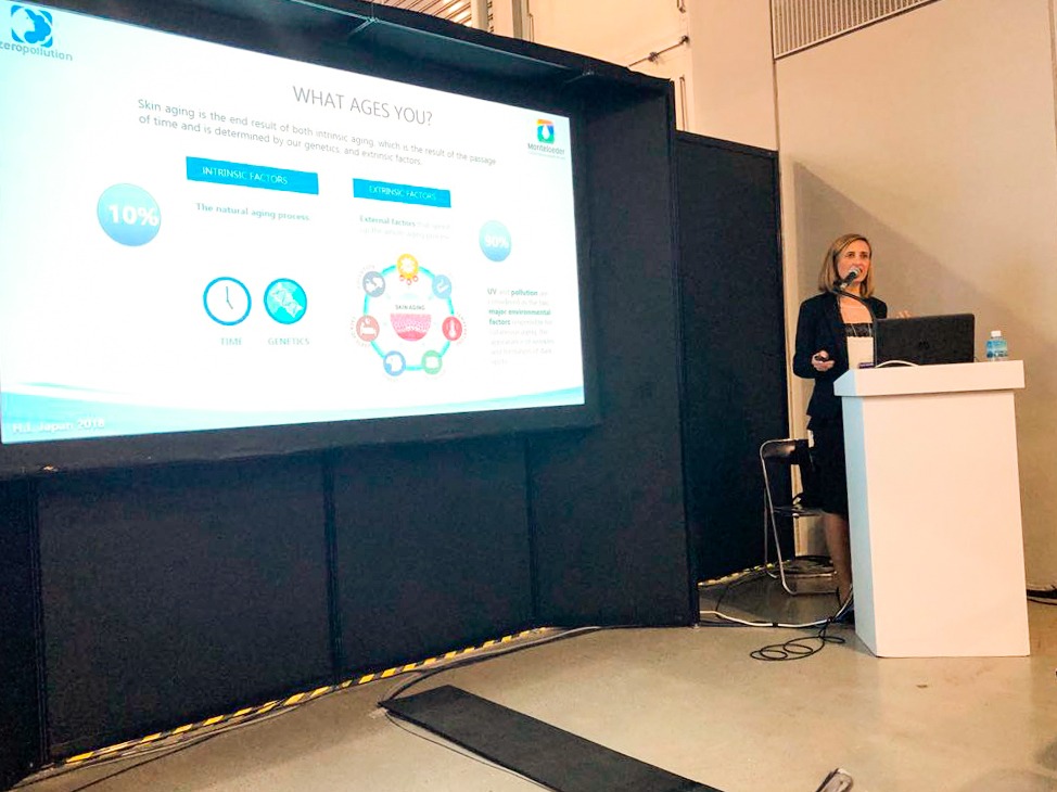 Presentation ZeroPollution