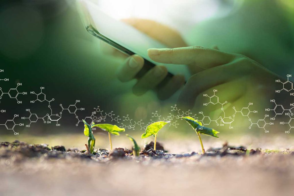 Plants,Background,With,Biochemistry,Structure.